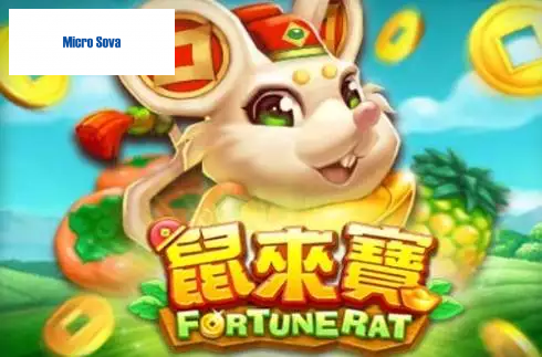 Fortune Rat